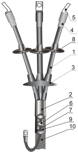 kntp-1