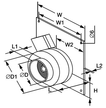 CFW razmer